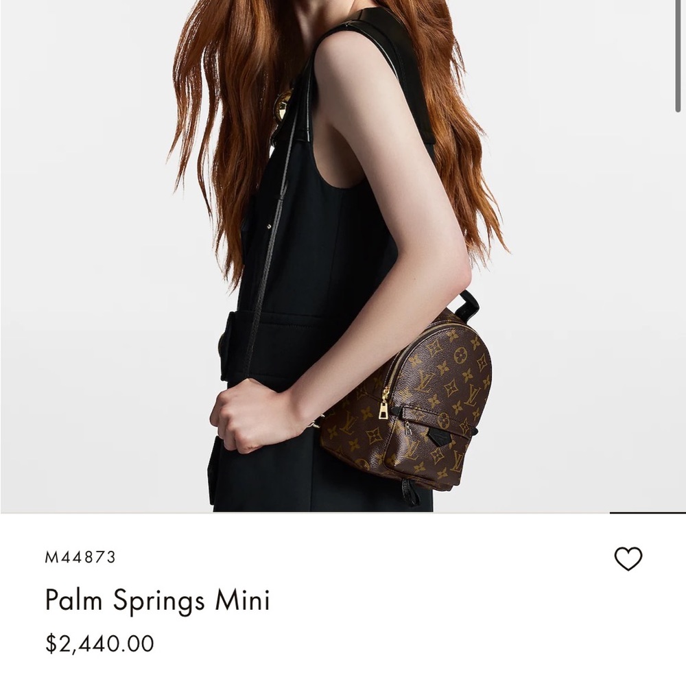 Palm Springs Mini - image 3